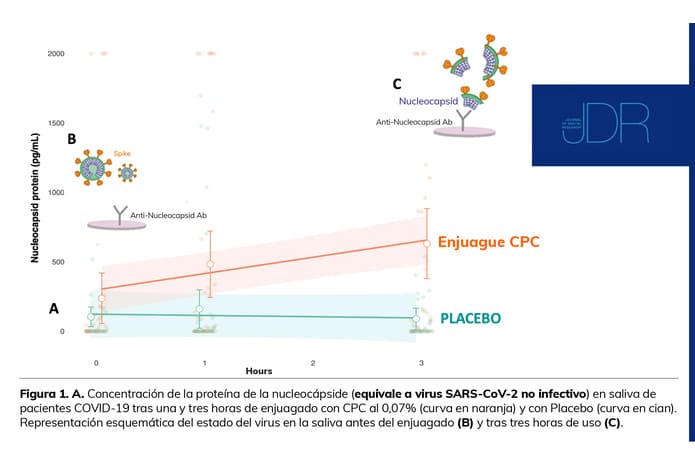 Se demuestra en humanos que el CPC de los colutorios rompe la membrana del SARS-CoV-2 y reduce la cantidad de virus activo en saliva