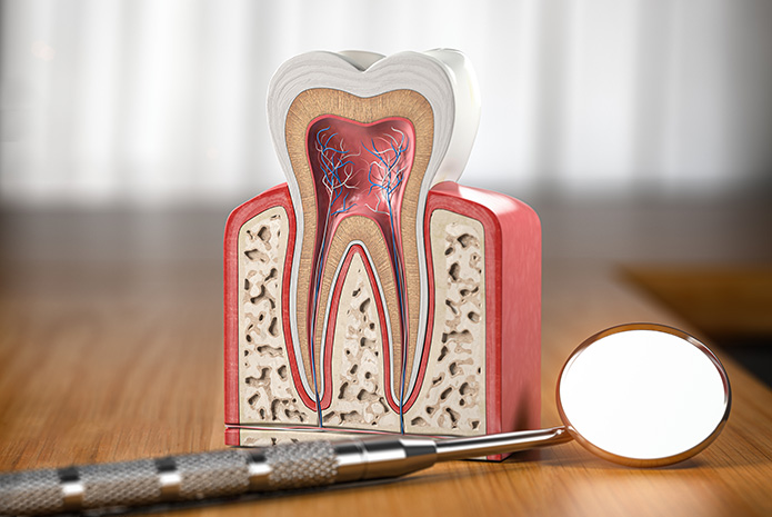 Investigación sobre el daño que produce el ácido en la dentina a nivel microestructural
