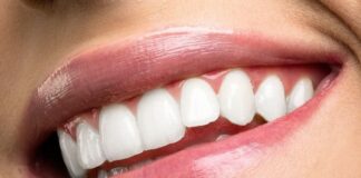Tipos de dientes y su función.