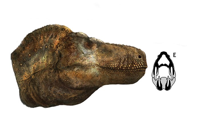 Un estudio reciente ha descubierto que los temibles Tiranosaurius Rex no llevaban sus fauces al descubierto.